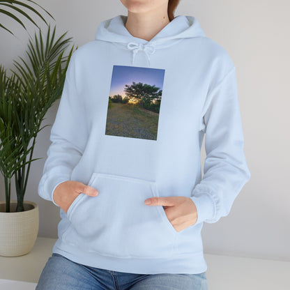 Heavy Blend™ Hooded Sweatshirt