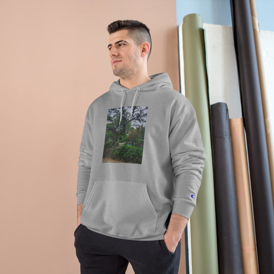 Champion Hoodie