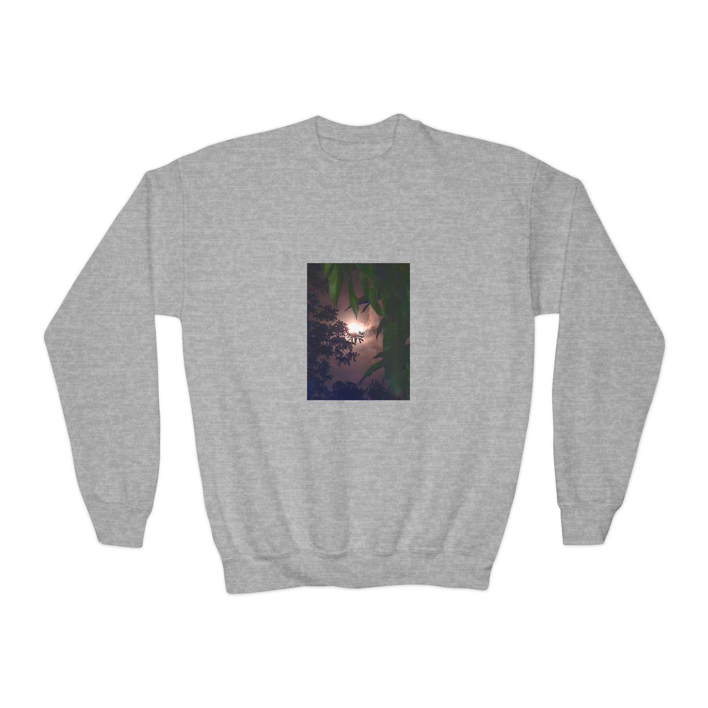 Youth Crewneck Sweatshirt